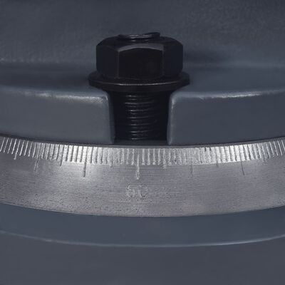vidaXL Vrtljiv primež iz litega železa 100 mm