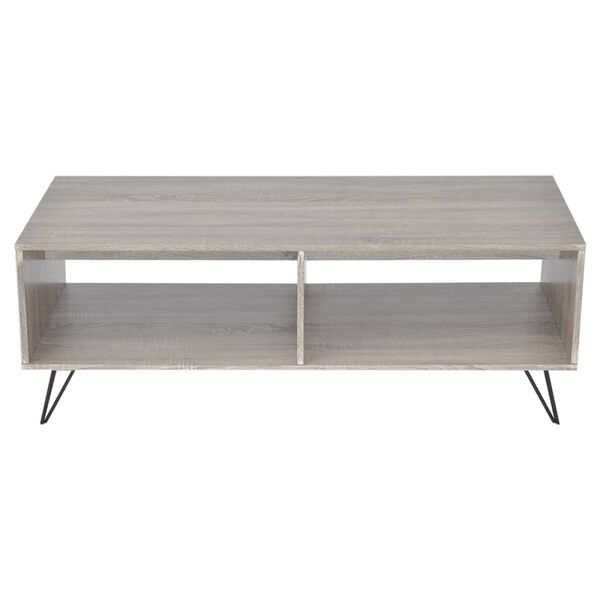 vidaXL TV Omarica / Klubska Mizica 110x50x40 cm Siva