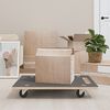 vidaXL Transportni voziček 2 kosa pravokotni 80x55x11,5 cm 250 kg