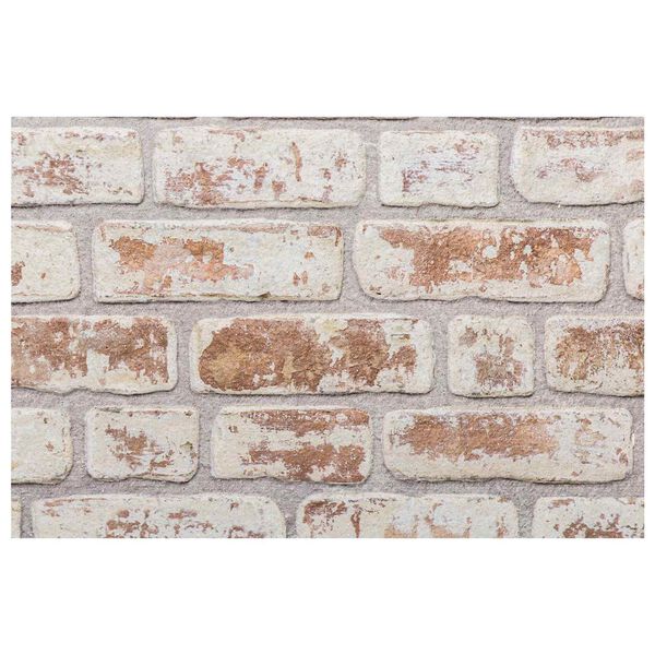 vidaXL Stenske plo&scaron;če 10 pcs Rdeča in bela 100 x 50 cm EPS pena