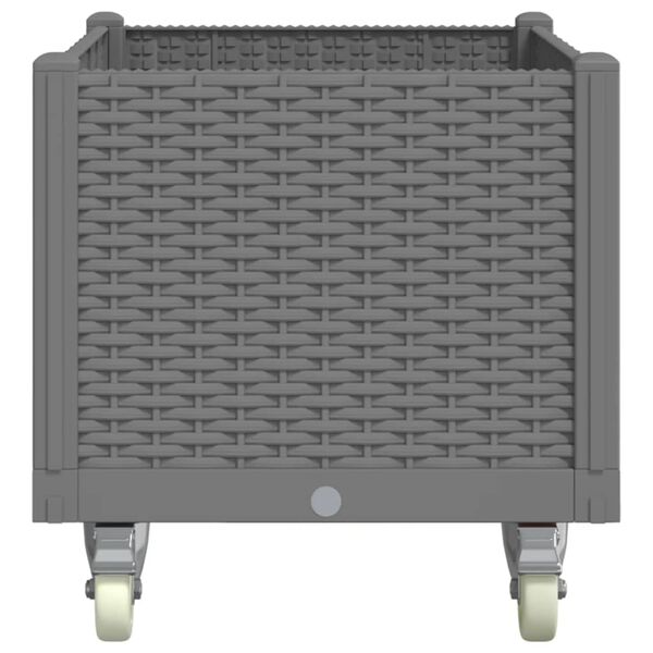 vidaXL Cvetlično korito s kolesi svetlo sivo 80x50x54 cm PP