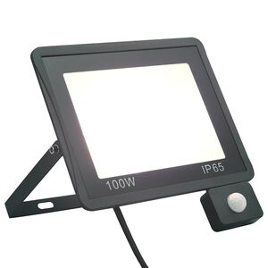vidaXL LED reflektor s senzorjem 100 W hladno bel