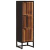 vidaXL Visok predalnik 35 x 30 x 120 cm