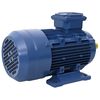 vidaXL Trifazni elektromotor aluminijast 2,2 kW/3KM 2840 vrt/min