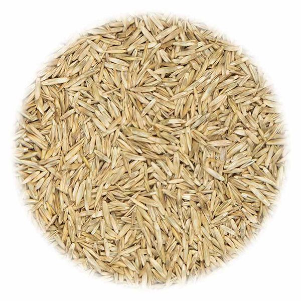 vidaXL Seme za travo za šport in igro 20 kg