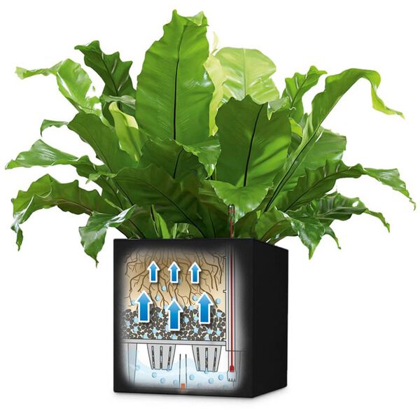 LECHUZA Cvetlično korito Canto Color Square 40 ALL-IN-ONE grafitno