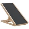 vidaXL Rampa za pse siva 70x35 cm trden les jelke
