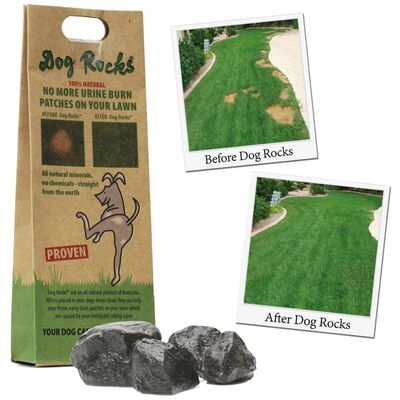 Dog Rocks Kamni za preprečevanje madežev urina