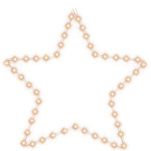 vidaXL Božična figura zvezda 48 toplo belih LED lučk 56 cm