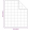 vidaXL Zimska posteljnina Bela 260 x 220 cm Perje