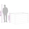 vidaXL Visoka greda WPC 150x100x91 cm siva