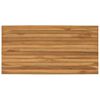 vidaXL Nepremična povr&scaron;ina 100 x 50 x 3,5 cm Pravokotna Naravna