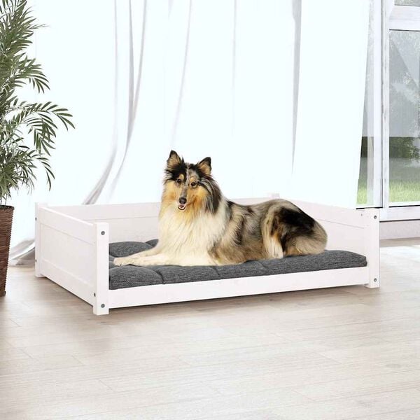 Prikazana fotografija izdelka 3 od 8