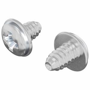 vidaXL Zaklepni vijaki 2 kos srebrna M4 x 5 mm elezo