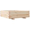 Natural_pine
