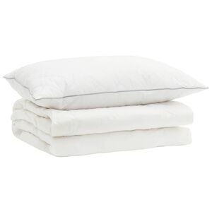 vidaXL 90% Gosji puh set odej FULDA 2 kos 137 x 200 cm Poletje 100 GSM