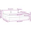 vidaXL Box Spring postelja z vzmetnicami Roza 180x210 cm Velvet