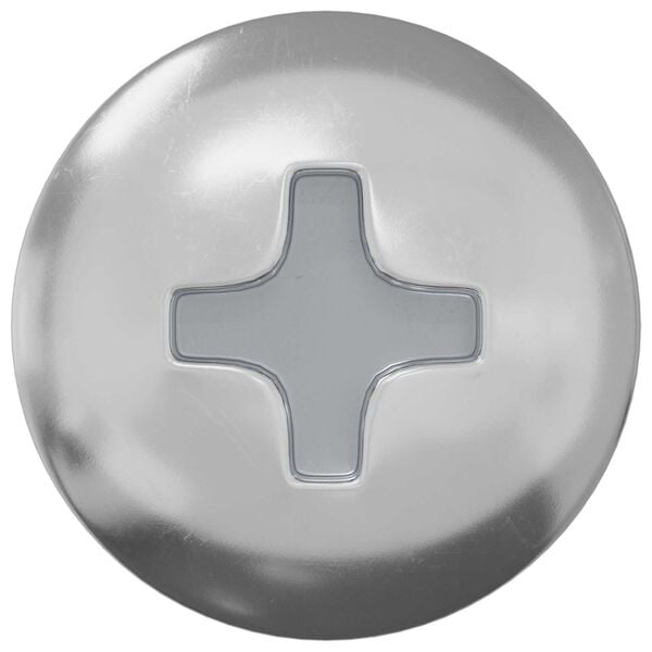 vidaXL Žebelj s samočrtnim navojem 2 pcs Cinkano 4 x 20 mm Jeklo