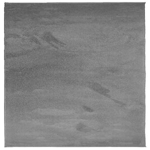 vidaXL Preproga OVIEDO s kratkimi vlakni antracit 120x120 cm