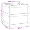 vidaXL Vrtno cvetlično korito 60x60x60 cm impregnirana borovina