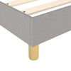 vidaXL Box spring postelja z vzmetnico svetlo siv 100x200 cm blago