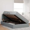 vidaXL Postelja z dodatnim prostorom za shranjevanje in LED osvetlitvijo