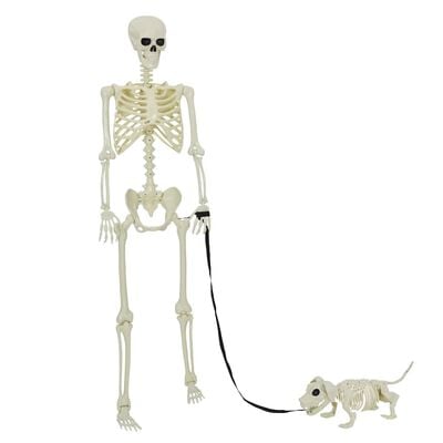 Komplet 2 okostnjakov za Halloween bel 155 x 38,5 cm