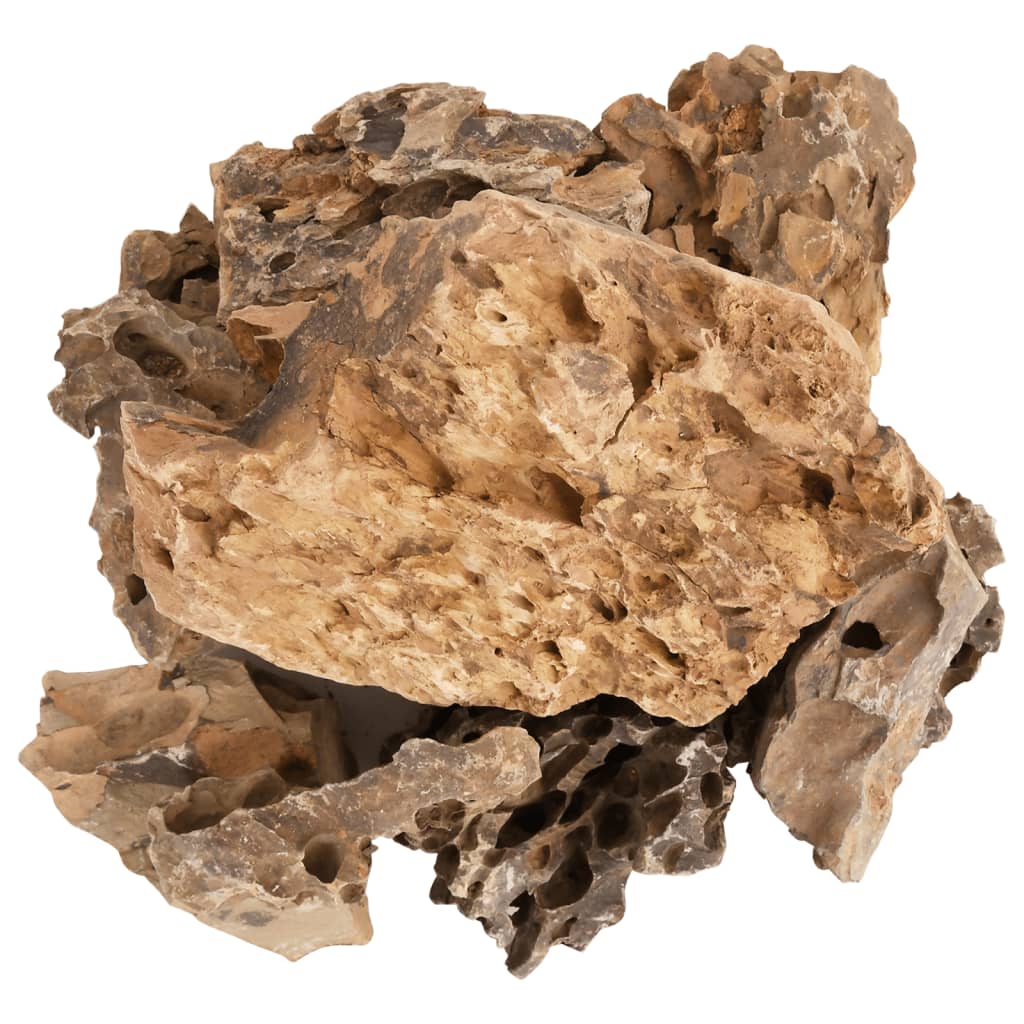 vidaXL Zmajev kamen 10 kg rjavi 5-30 cm
