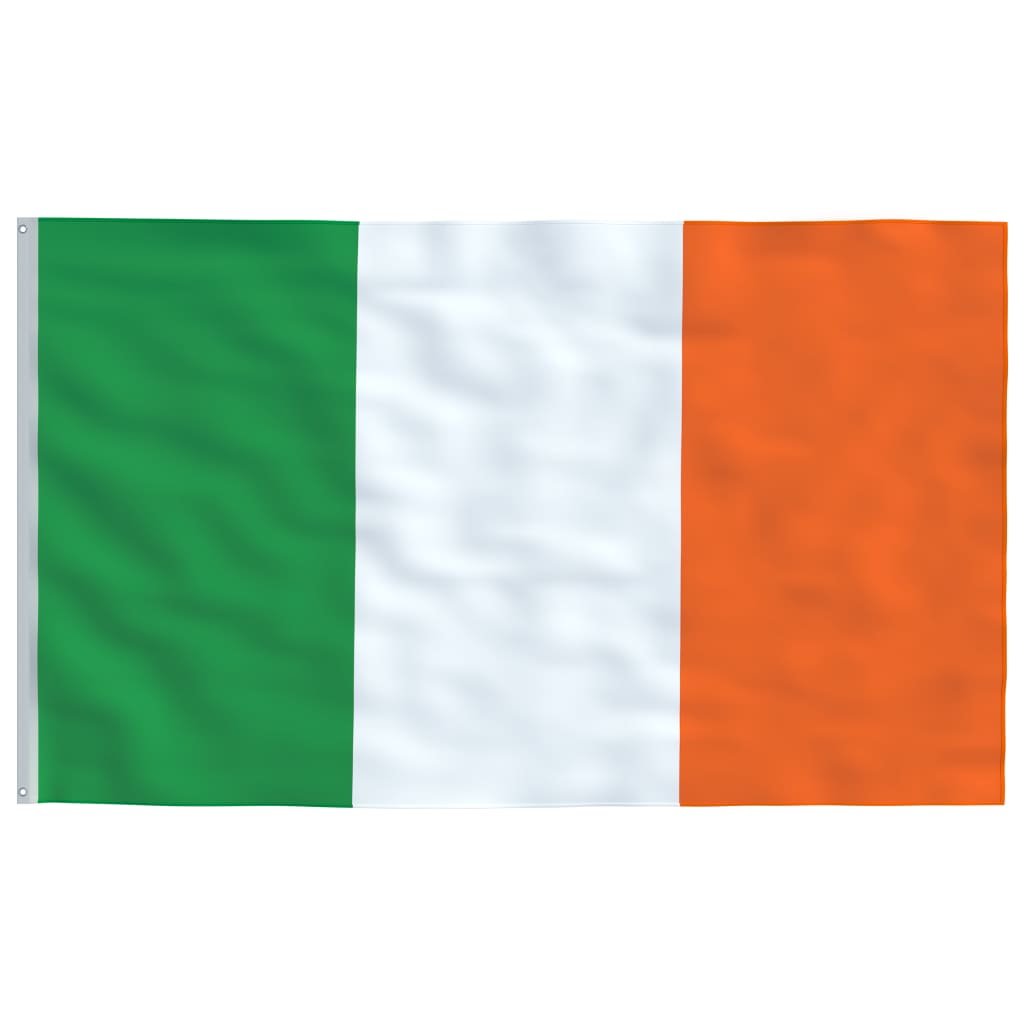 vidaXL Zastava Irske in drog 5,55 m aluminij