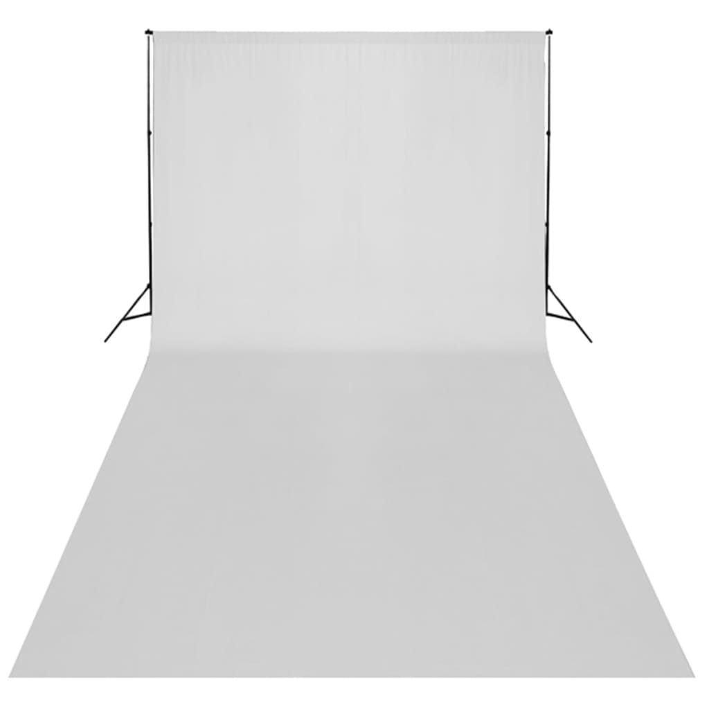 vidaXL Studijski komplet z belim ozadjem 600 x 300 cm in luči