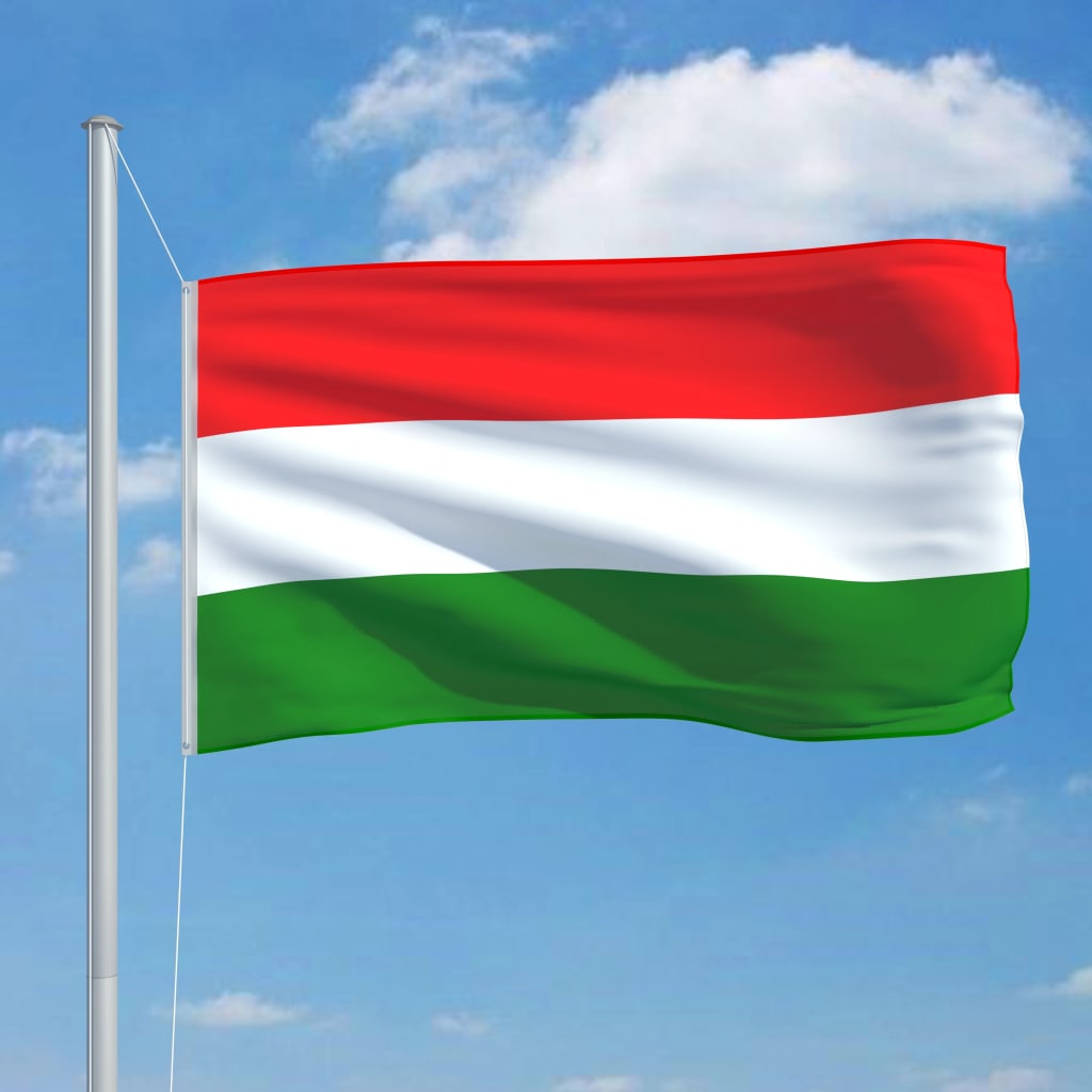 vidaXL Zastava Madžarske in aluminijast zastavni drog 6,2 m
