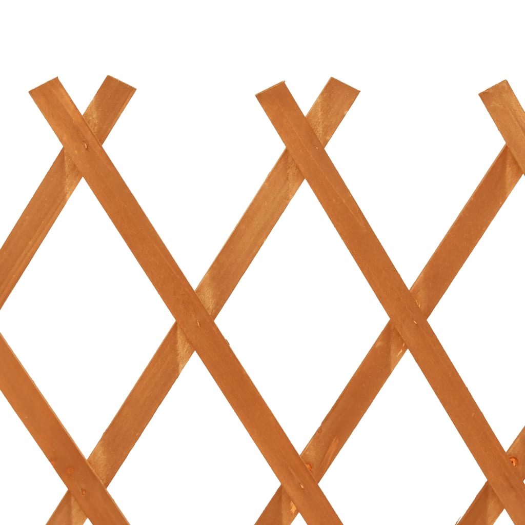 vidaXL Vrtna mrežasta ograja oranžna 120x90 cm les jelke