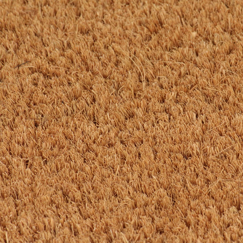 vidaXL Predpražnik naravne barve 100x300 cm kokosova vlakna