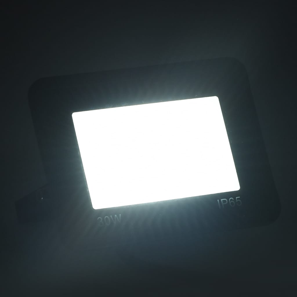 vidaXL LED reflektor 2 kosa 30 W hladno bel