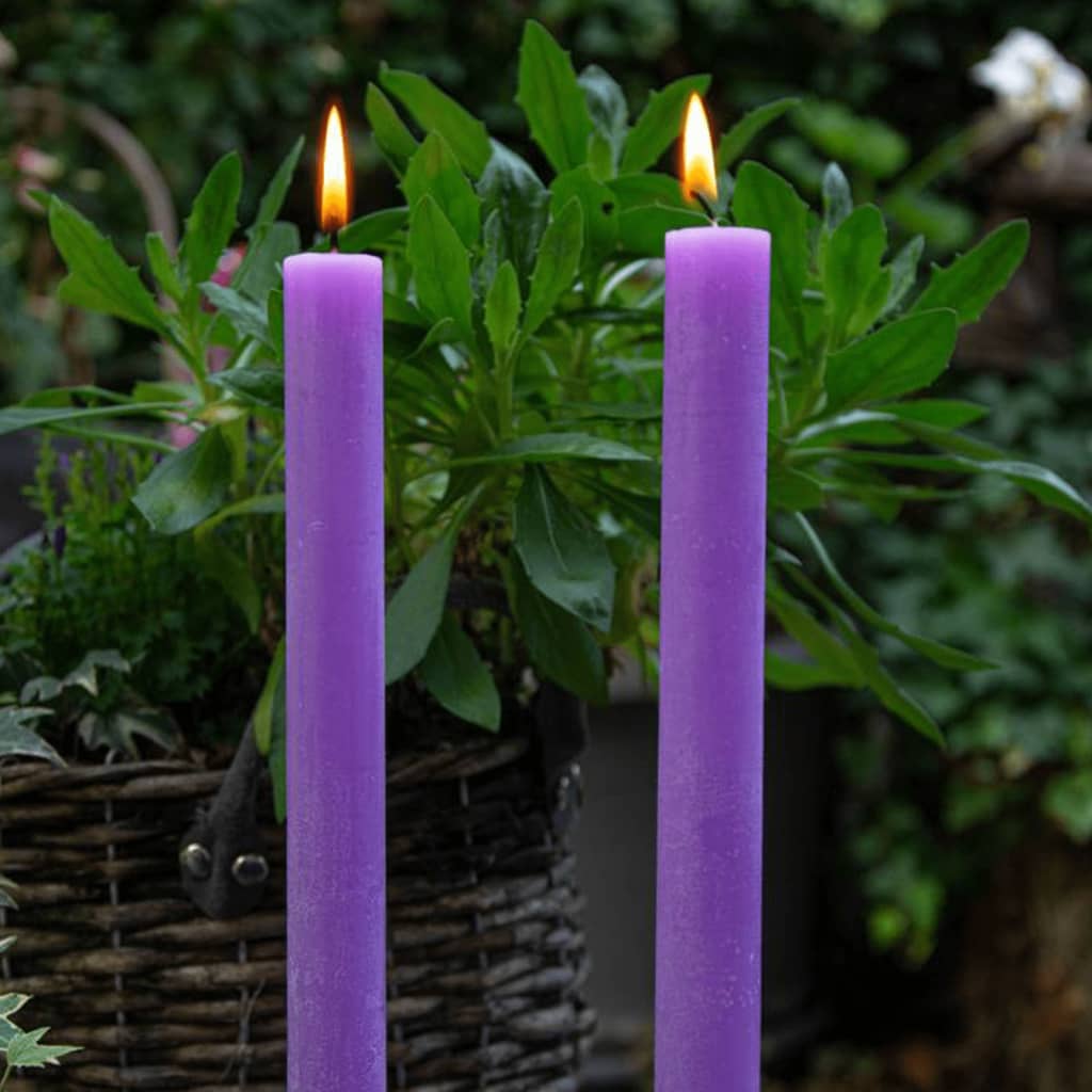 Bolsius Namizne sveče Shine 16 kosov 27 cm živahno vijolične