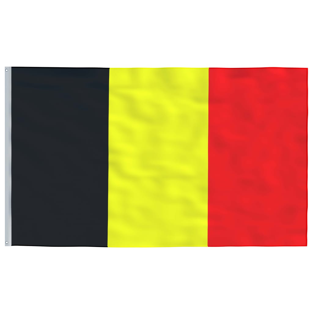 vidaXL Zastava Belgije in drog 6,23 m aluminij