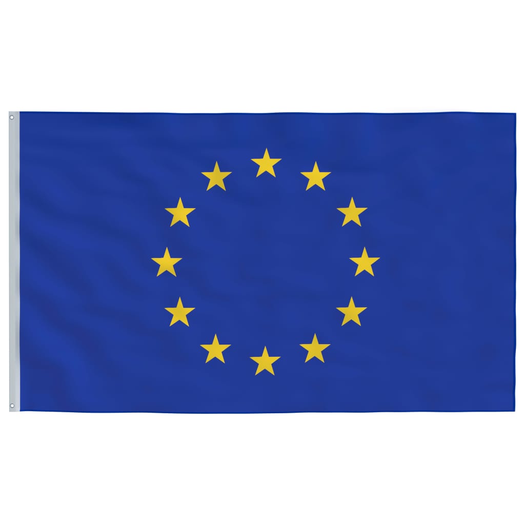 vidaXL Zastava Evrope in drog 5,55 m aluminij