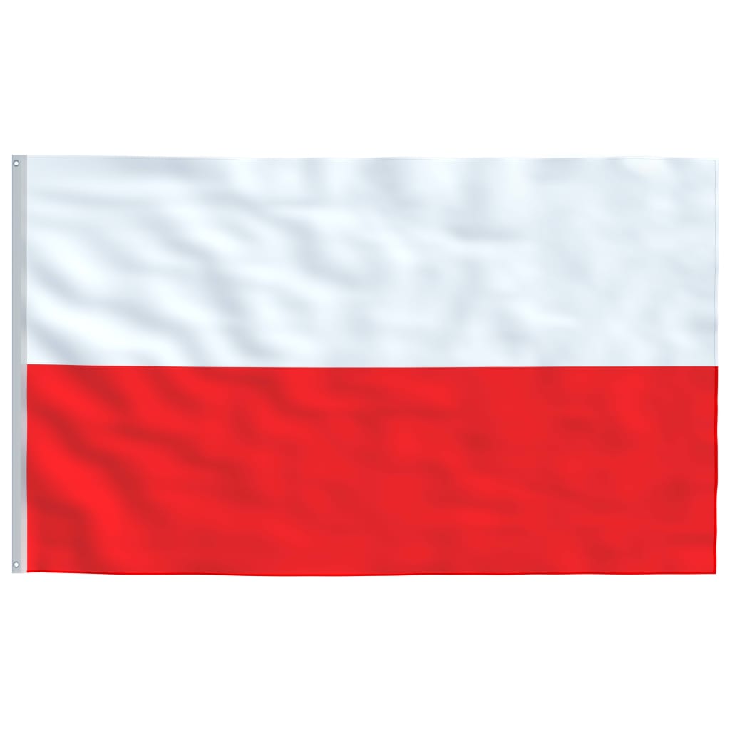vidaXL Zastava Poljske in drog 6,23 m aluminij