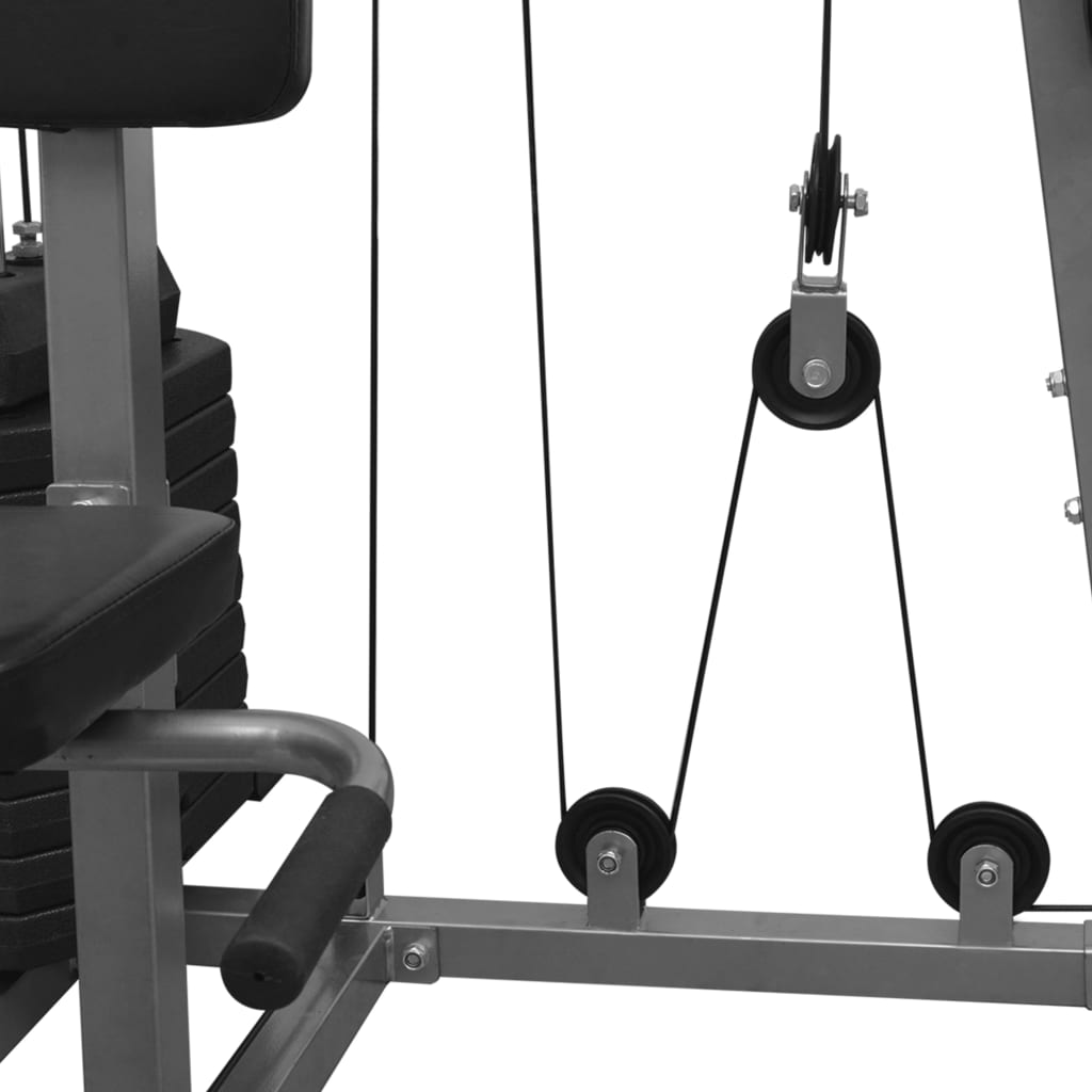 vidaXL Večfunkcijska fitnes naprava za domačo telovadnico 65 kg