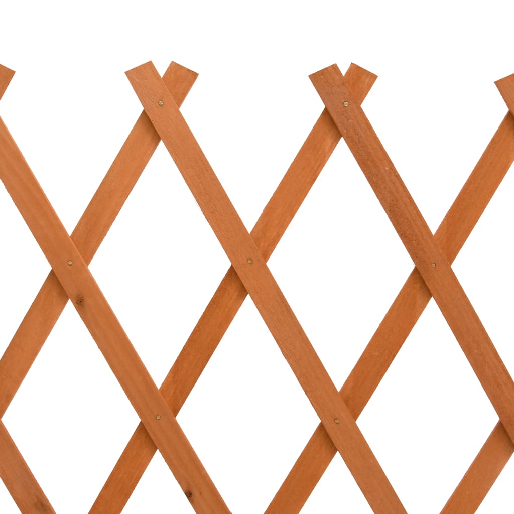 vidaXL Vrtna mrežasta ograja oranžna 150x80 cm trden les jelke