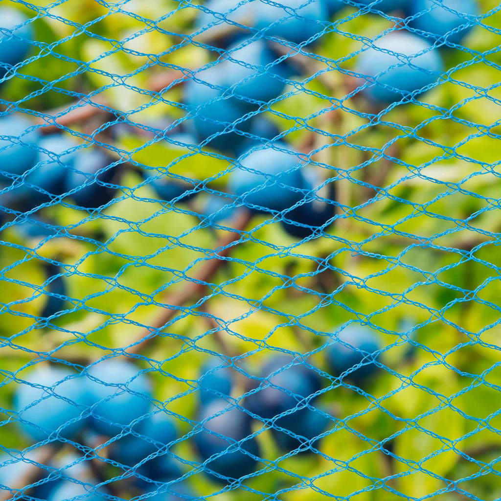 Nature Mreža za zaščito pred pticami Nano 10x4 m modra