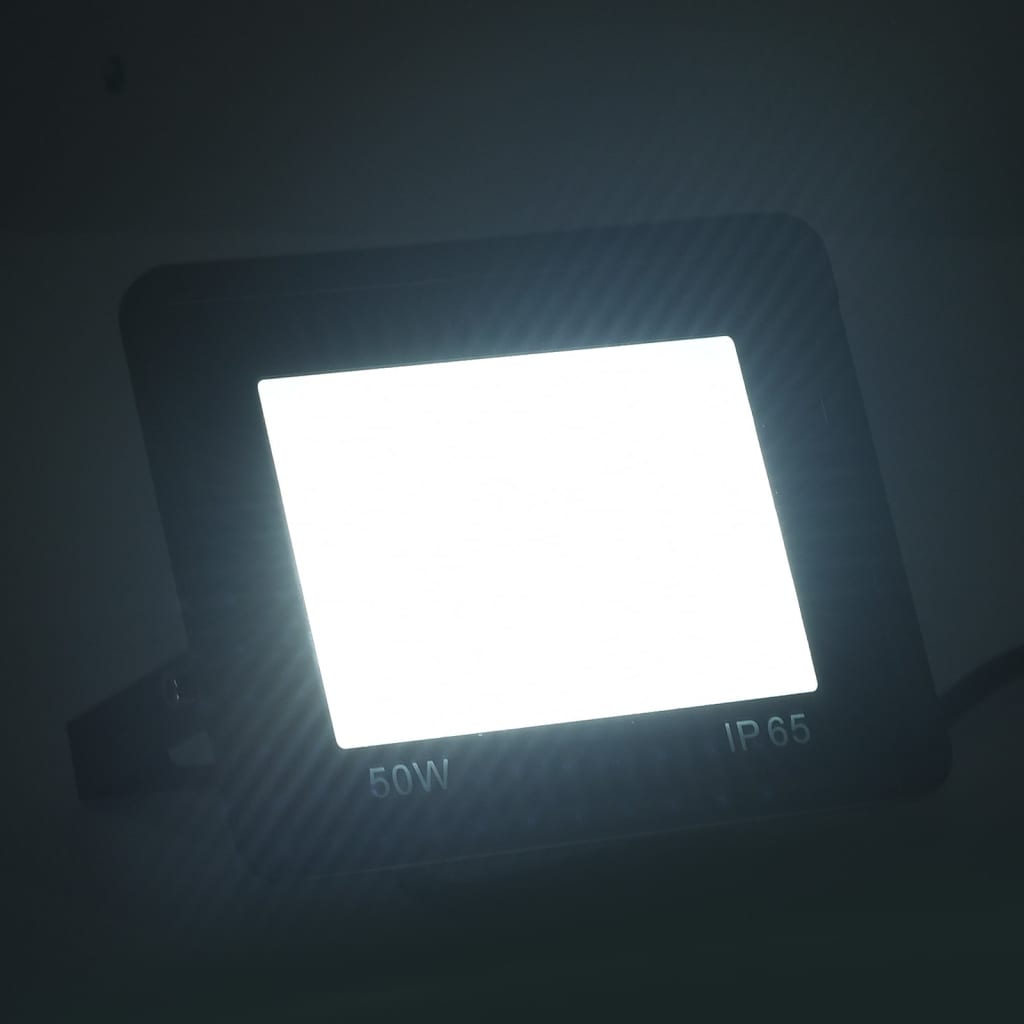 vidaXL LED reflektor 2 kosa 50 W hladno bel