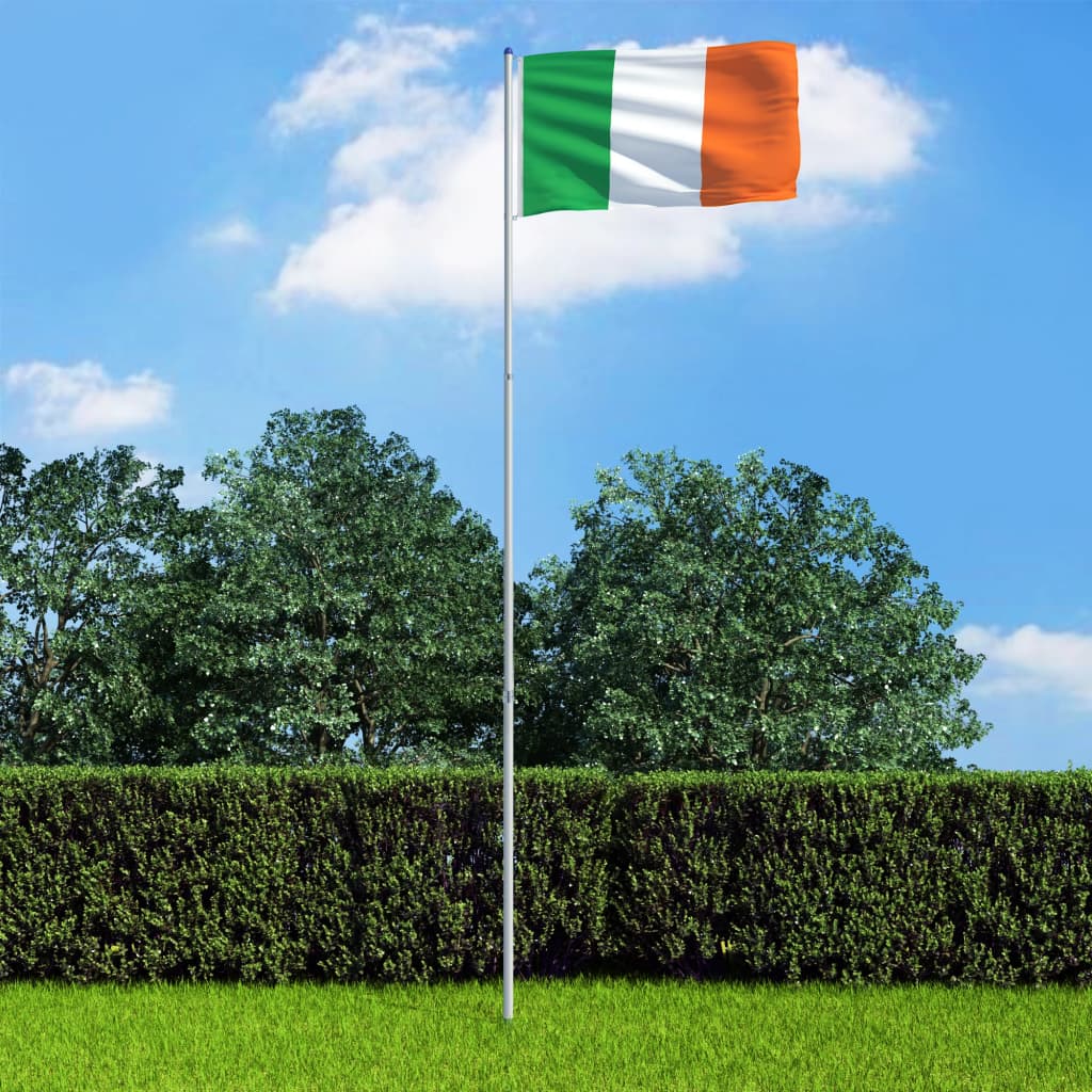 vidaXL Zastava Irske in aluminijast zastavni drog 6 m