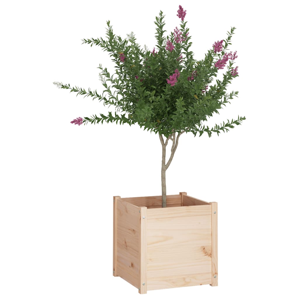 vidaXL Vrtno cvetlično korito 2 kosa 50x50x50 cm trdna borovina