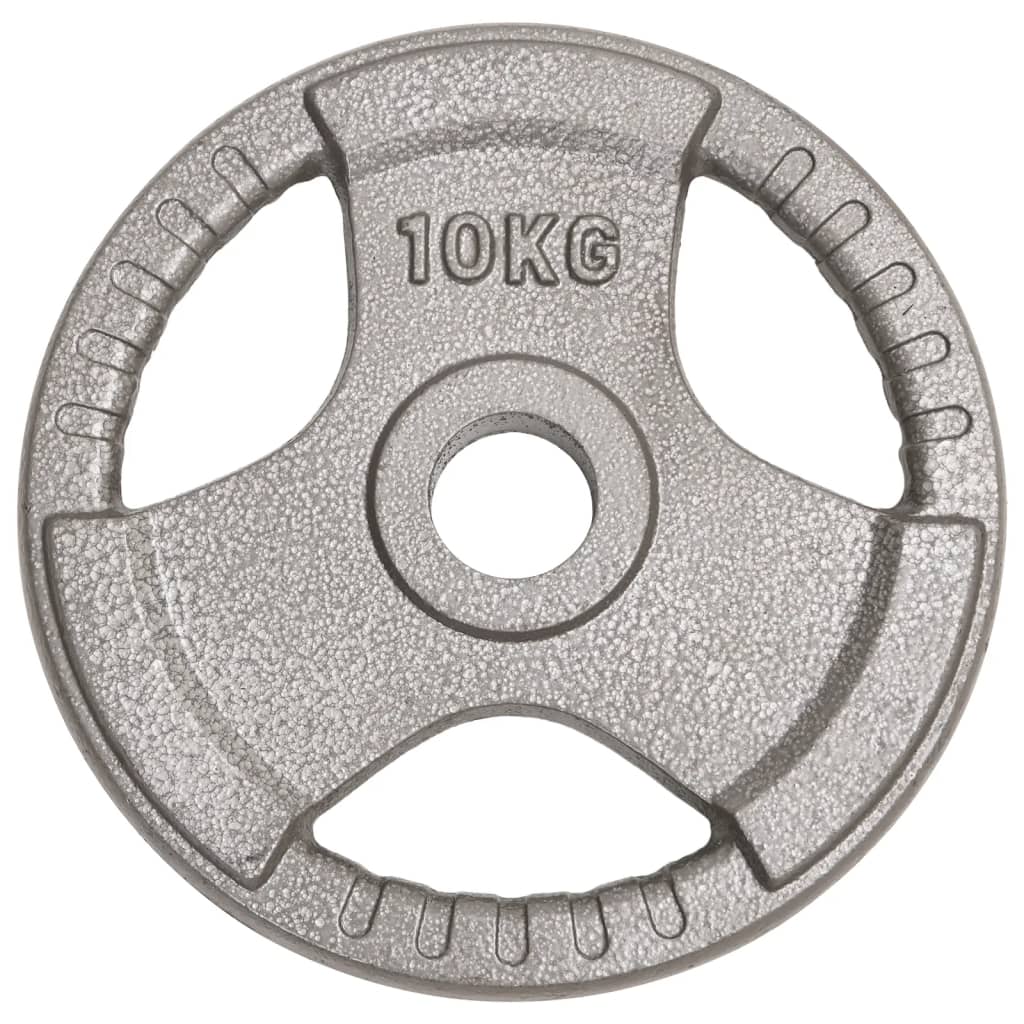 vidaXL Olimpijske uteži 2 kosa 20 kg lito železo