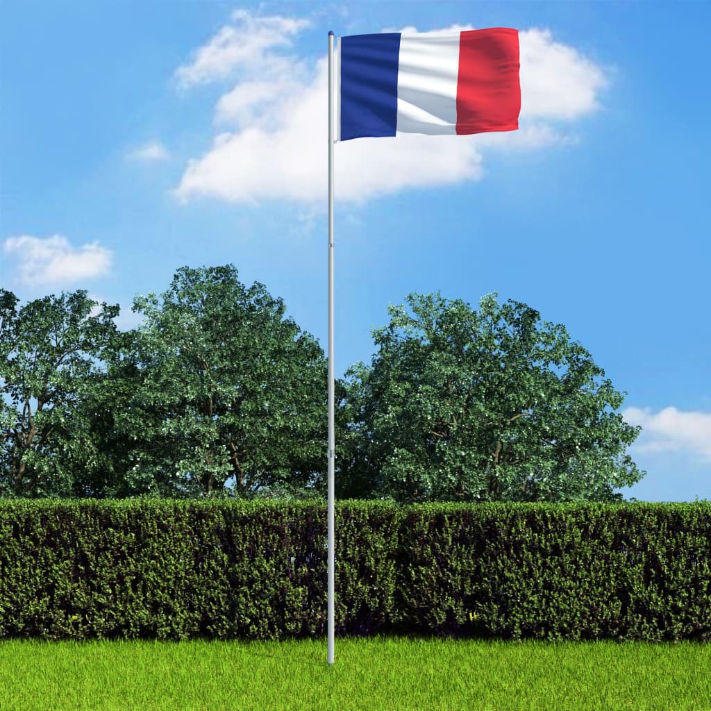 vidaXL Francoska zastava in aluminijast zastavni drog 6 m