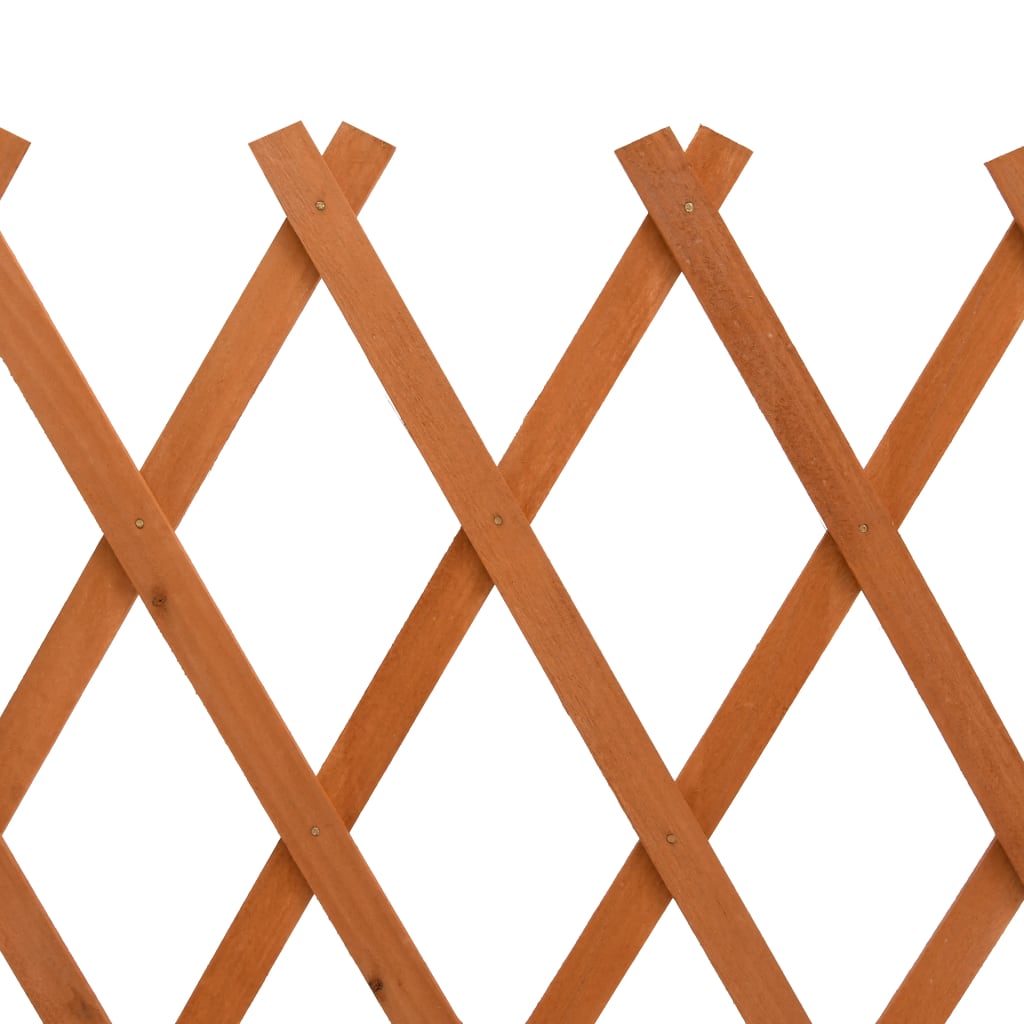 vidaXL Vrtna mrežasta ograja oranžna 120x60 cm les jelke
