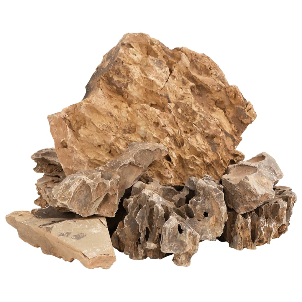 vidaXL Zmajev kamen 10 kg rjavi 5-30 cm