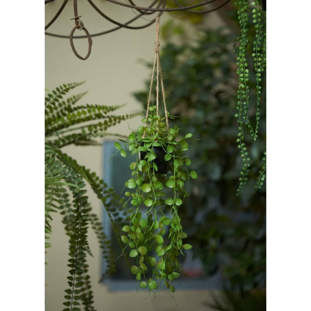 Emerald Umetna Ceropegia viseči grmiček 50 cm v loncu
