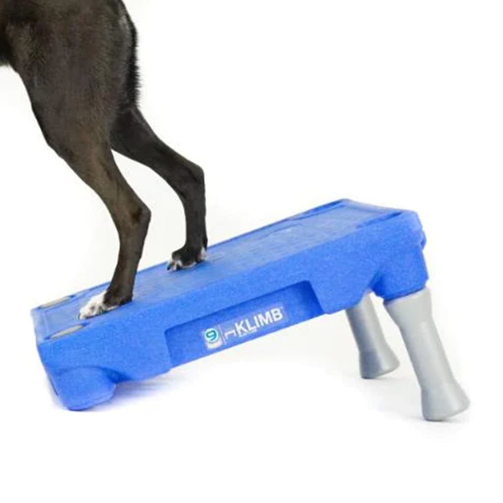 BLUE-9 Platforma za KLIMB sistem za treniranje psov modra